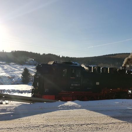 Ferienwohnung Bimmelbahn Blick Обервиезентал Екстериор снимка